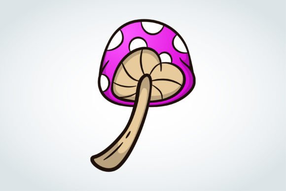 Heart Mushroom Illustration for Branding and Graphics
